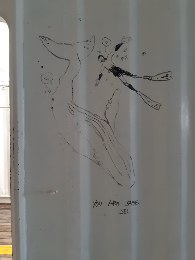 « Tu es en sécurité », septembre 2023 et avril 2025 © Morgane Dujmovic (1/2)